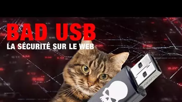 BAD USB | Ne cliquez pas