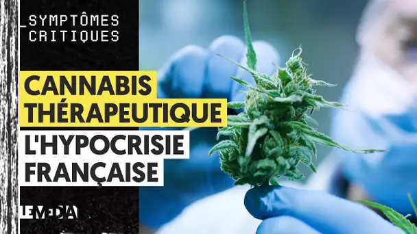 CANNABIS THÉRAPEUTIQUE: L’HYPOCRISIE FRANÇAISE