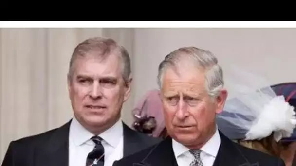 Le «souffle du prince Andrew a été coupé» alors qu'il fulminait contre les plans royaux de Charles