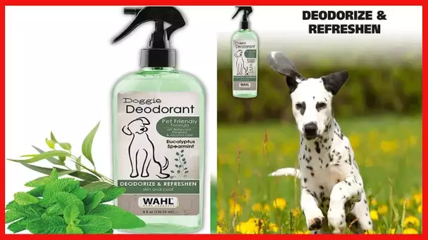 Wahl Deodorizing & Refreshing Pet Deodorant for Dogs - Eucalyptus & Spearmint to Refresh the Skin