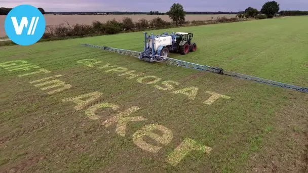 Gift im Acker - Glyphosat, die unterschätzte Gefahr? (HD 1080p)