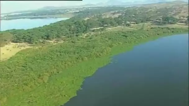 Kenya : Le lac Naivasha