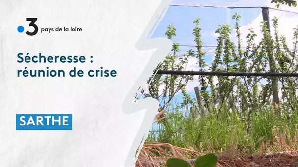 Sarthe : Sécheresse sur l'Argance, réunion de crise