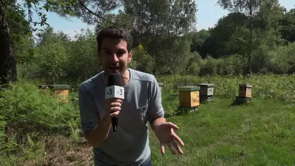 Les Aventures d&#039;Evan - Famille Mary (Teaser)