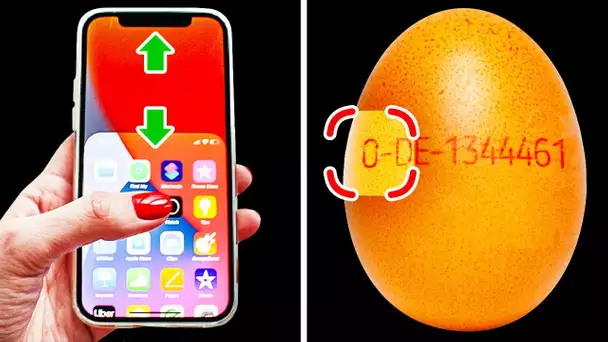 Détails cachés de plus de 35 choses de la vie quotidienne dont vous ne soupçonniez pas l'existence !
