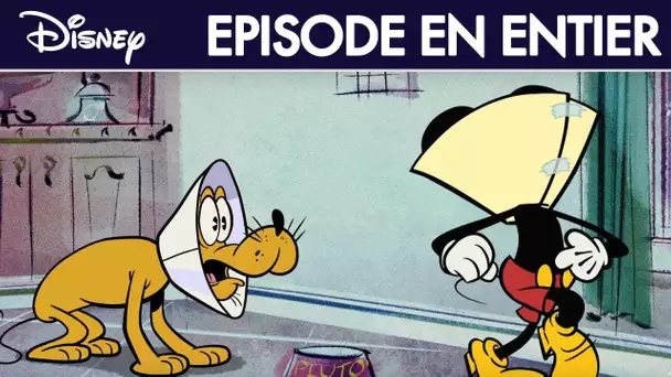 Mickey Mouse : Les Collerettes - Épisode intégral - Exclusivité Disney I Disney