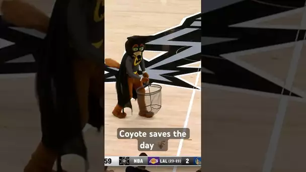 Spurs Coyote catches a bat in the arena AGAIN 😂 | #Shorts