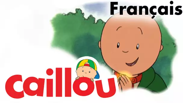 Caillou FRANÇAIS - Caillou fait du camping  (S01E34) | conte pour enfant | Caillou en Français