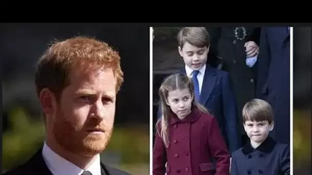 La mention du prince Harry de George, Charlotte et Louis surnommée "route dangereuse à descendre"