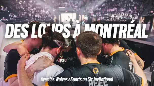 "Des loups à Montréal": avec les Wolves Esports au Six Invitational