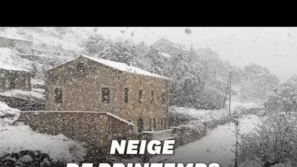 La neige a recouvert le centre de la Corse, en plein mois de mai