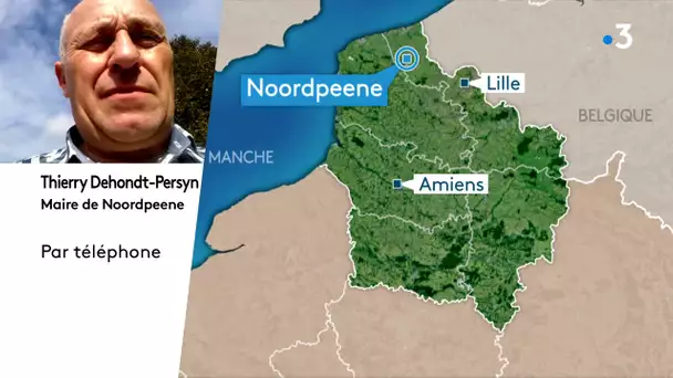 Jument mutilée à Noordpeene : "J'étais vraiment retourné", réagit le maire