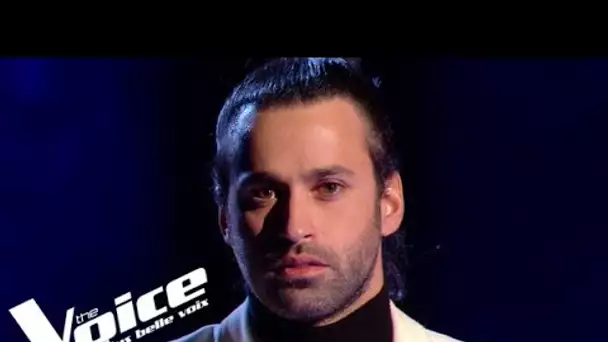 Calogero – Si seulement je pouvais lui manquer | Anthony Touma | The Voice All Stars | Cross...