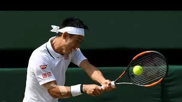 Wimbledon : Nishikori bat Johnson et file en huitièmes