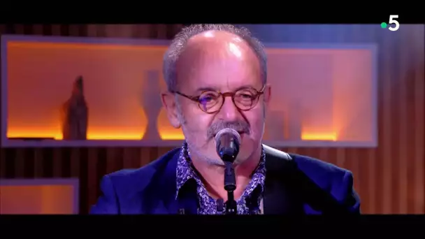 Le live: Louis Chedid « Tout ce qu’on veut dans la vie » - C à Vous - 28/02/2020