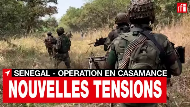 Sénégal : une partie de la population fuit l'opération militaire en Casamance • RFI