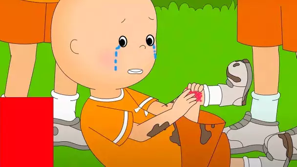 Carton Rouge | Caillou en Français