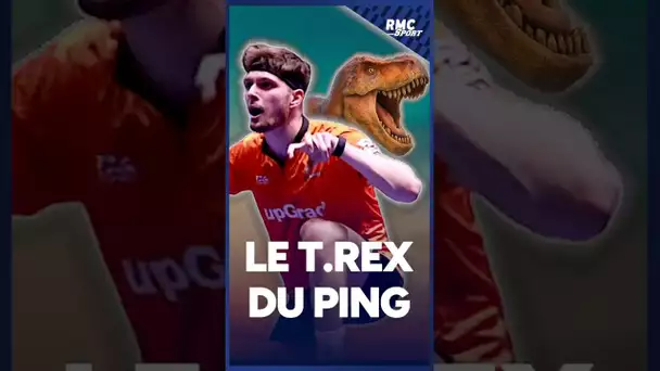 À la découverte de Lilian "T. Rex" Bardet, la sensation du ping français !
