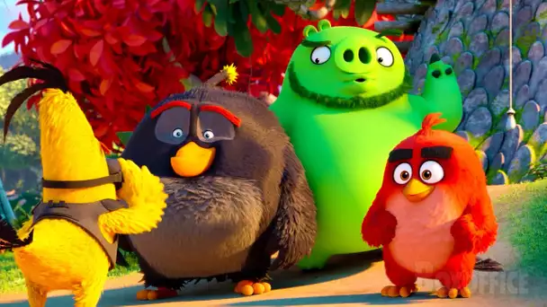 Les Angry Birds et les cochons font équipe | Angry Birds 2 | Extrait VF
