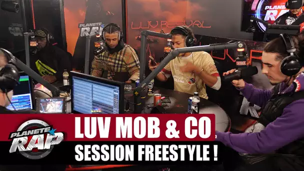 [EXCLU] Luv Resval "Luv Mob & Co" avec Savage Toddy, Roni0block, W2, Emsko & Skarla8B ! #Mercredi