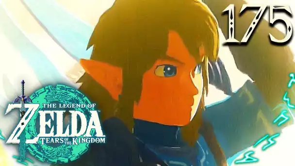 Zelda Tears of the Kingdom #175 : LE GROS REVEAL SUR L'HISTOIRE DU HÉROS ANCIEN !