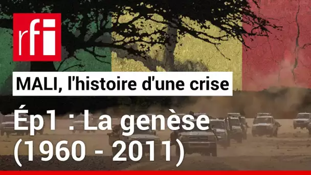 1/3 - La genèse (1960 – 2011) • RFI