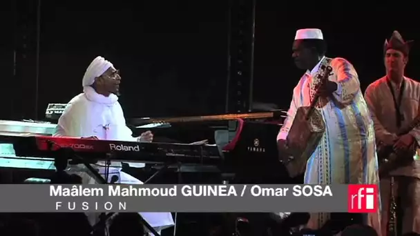 Festival Gnaoua-Essaouira 2013 : Maâlem Guinea/ Omar Sosa