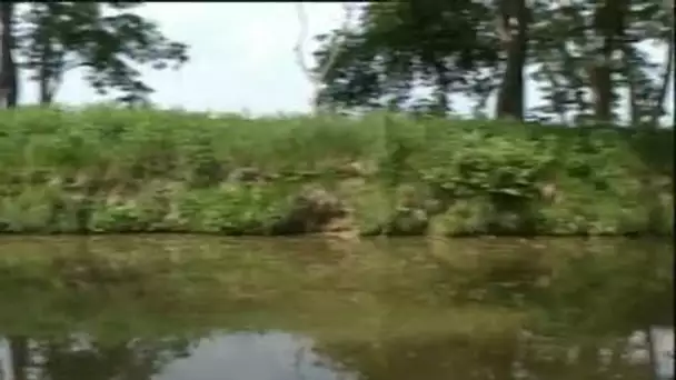 L'avenir du parc naturel des boucles de La Marne