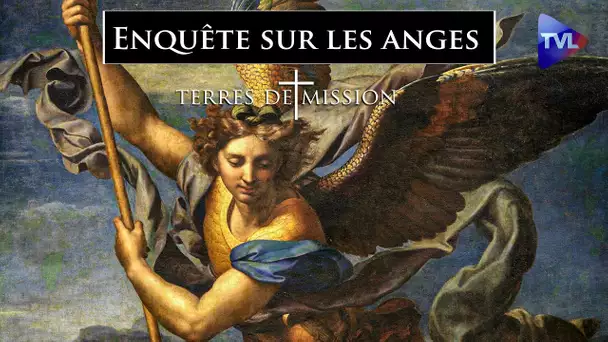 Enquête sur les anges - Terres de Mission n°281 - TVL