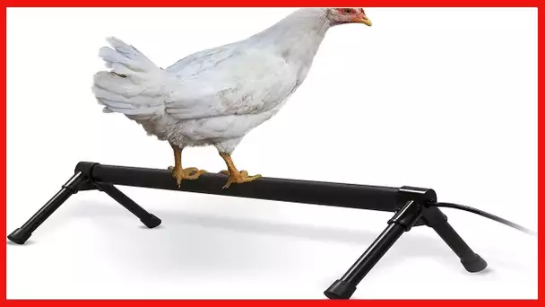 K&H PET PRODUCTS 100539711 Thermo-Chicken Heated Perch, 36 Inches, Black