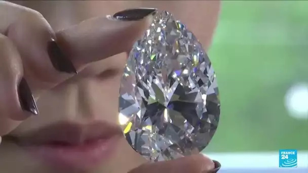 "The Rock", le plus gros diamant blanc au monde, adjugé pour près de 21 millions d'euros