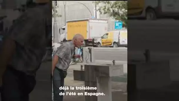 Vague de chaleur en Espagne : "là on étouffe, on ne peut pas être dans la rue" • FRANCE 24