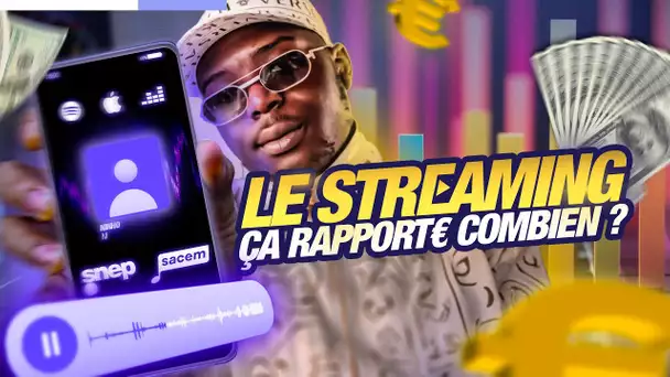 COMBIEN RAPPORTE 1 MILLION DE STREAMS ?