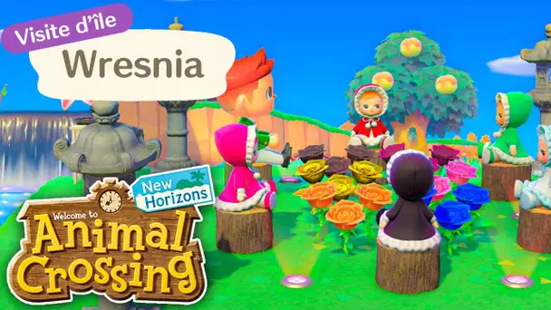 L'ÎLE DES POUPÉES ! - Visite de Wresnia - Animal Crossing : New Horizons