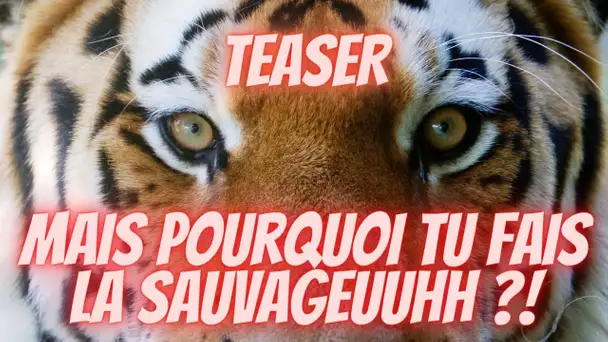 Lila (LPDLA8): « Mais pourquoi tu fais la sauvageuuuhhh ?! » #TEASER