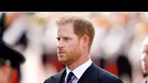 Le prince Harry "sait que Firm ne ripostera pas" contre lui