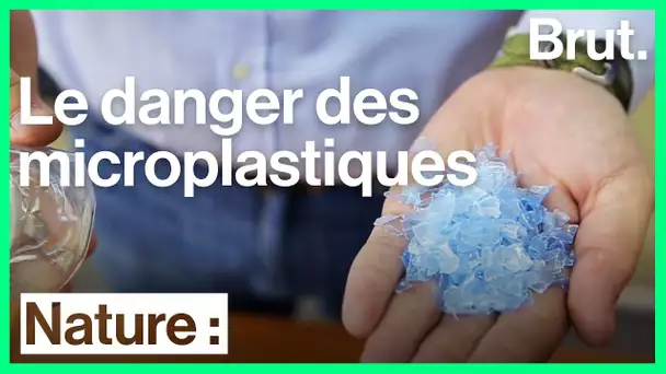 Les scientifiques alertent sur l&#039;omniprésence des microplastiques