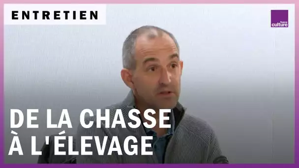 De la chasse à l'élevage : cette mort qu'on ne veut plus voir