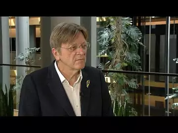 "Les gens aiment l'Europe, ils ont un rêve européen", affirme le député européen Guy Verh…