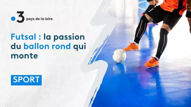 Futsal : la passion du ballon rond qui monte, qui monte...