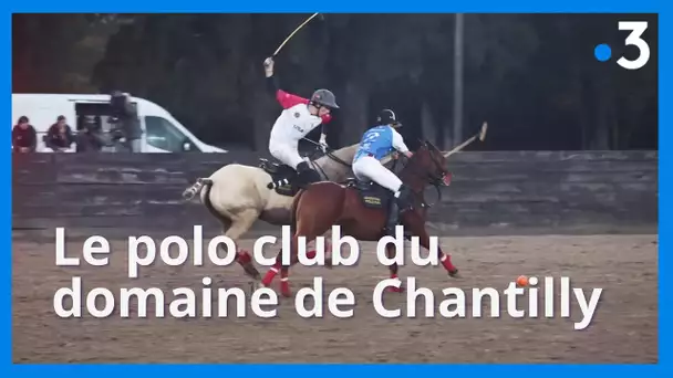 Le polo club du domaine de Chantilly : un bout d'Argentine dans les Hauts-de-France