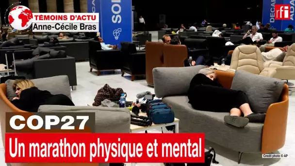 COP 27: un marathon physique et mental • RFI