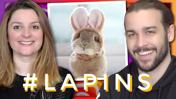 ON REGARDE DES VIDÉOS DE LAPINS SUR INSTAGRAM !