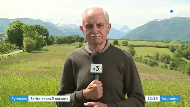 Naissance de trois oursons en Béarn : la réaction de Gérard Caussimon, président du FIEP