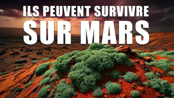 Cette bactérie peut survivre sur Mars ! Documentaire 2024