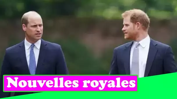 Les livres de William et Harry sont le dernier « conflit de programmation » dans la « bataille » de