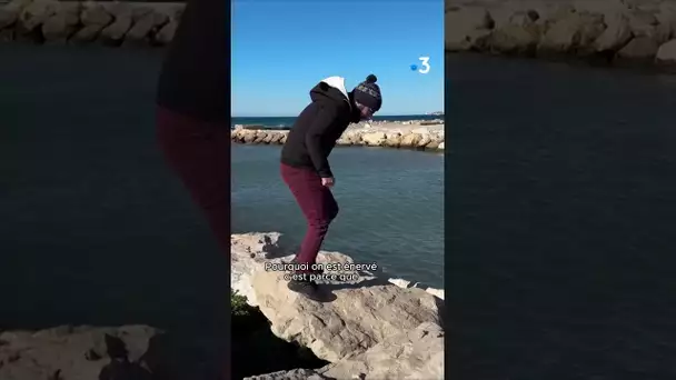 Nettoyage sur les plages de Marseille après la tempête Monica