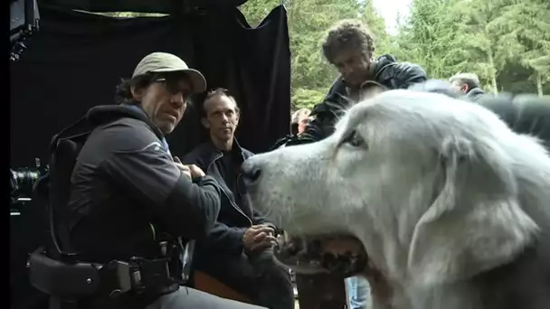 Quand la star du film est un chien