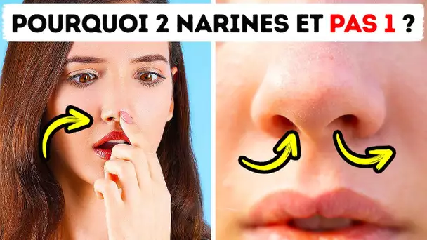 Pourquoi Nous Avons Deux Narines Si Nous N’en Utilisons Qu’une Seule