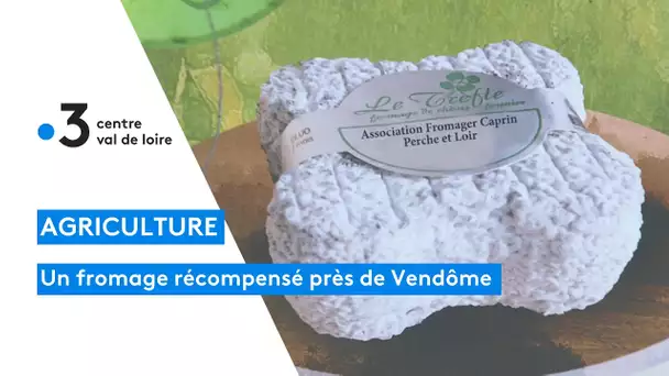 Découverte du fromage le "Trèfle du Perche" médaillé d'or au salon de l'agriculture